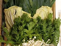 蔬菜大拼-蝎王府羊蝎子(西直门店)