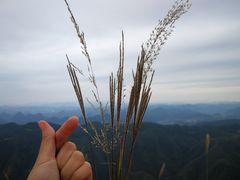 -贵州云顶草原民族风情园