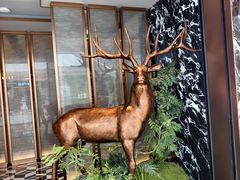 -新白鹿餐厅(湖滨银泰IN77C区店)