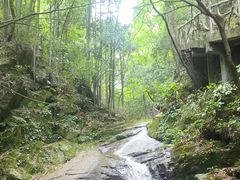 -藏龙百瀑风景区