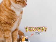 -吾悦广场(南京鼓楼店)