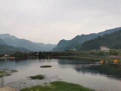 -后柳水乡