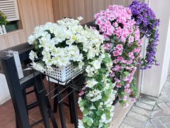-花城酸奶碗(花都骏威广场店)
