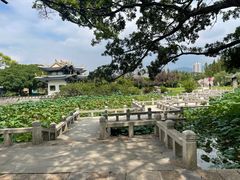 -江心屿景区
