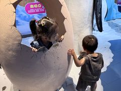 -合肥海洋世界