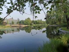 -望湖公园