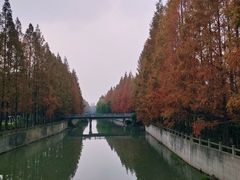 -上海大学(宝山校区)