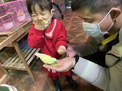 -萌宠奇缘