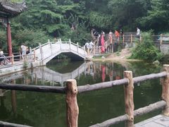 -王顺山国家森林公园