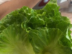 -探窝·竹笙椰子鸡(杨箕店)