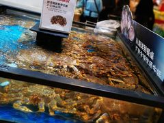 水产区-盒马鲜生(宝地店)