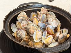 胡椒煲花螺-巫记鸡饭店