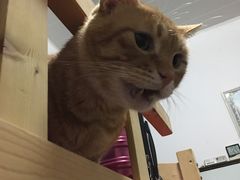 -长白街手工水饺(秣陵路店)