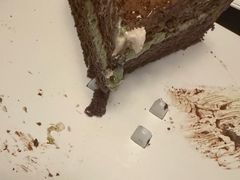 -巴黎贝甜(大宁国际商业广场店)