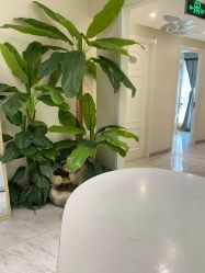 -健身堂科技美肌SPA