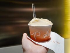 -Dip in Gelato(富民路店)