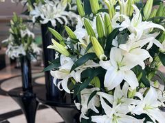 -广州白云机场雅高铂尔曼大酒店