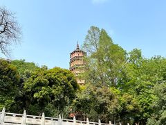 -宝通禅寺