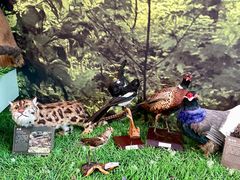 -房山世界地质公园博物馆