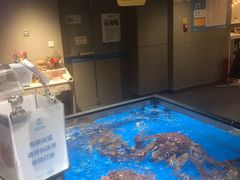 水产区-盒马鲜生(双清路店)