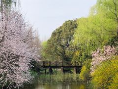 -自然谷恐龙园