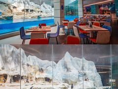 -帝企鹅自助餐厅•儿童岛•真企鹅(长隆企鹅酒店)