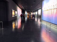 -罗红摄影艺术馆