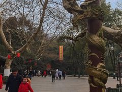 -杭州黄龙洞