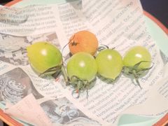 -季季山•云南野生菌火锅(上海首店)