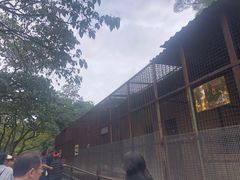 -昆明动物园