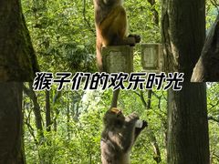 -黔灵山公园