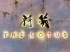 -几荷·恰似故人来(秀水广场店)