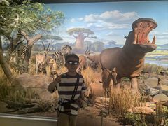 -陕西自然博物馆