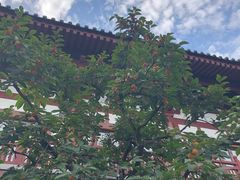 -西安华清御汤酒店