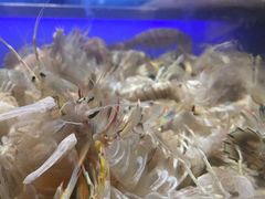 -V-ONE西雅图海鲜自助餐厅(仓山万达广场店)