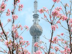 -文华公园(禅城区)