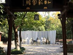 -白马涧龙池景区