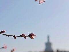 -北海公园