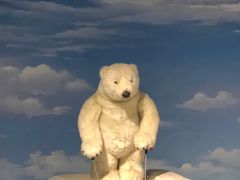 -成都泰迪熊博物馆