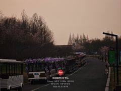 -江苏三台山国家森林公园