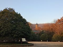 -灵谷景区