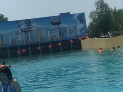 -海盗传奇水世界