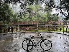 -玫瑰海岸文化旅游度假区