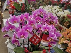 -李村大集