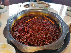 红汤锅底（大锅）-枇杷园食为鲜火锅(南山店)