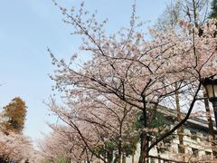 -南京城墙景区
