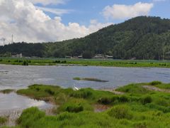 -腾冲北海湿地