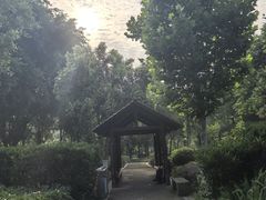 -重庆彩云湖湿地公园