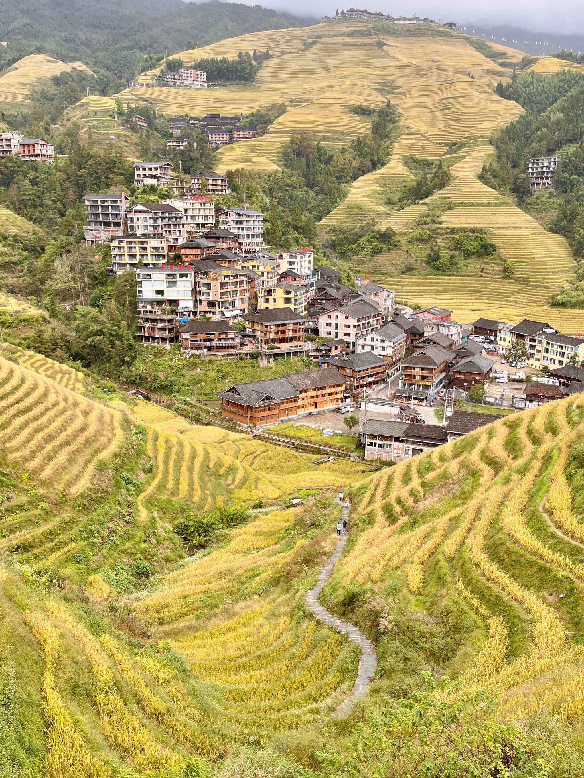 广东省江门市新会区天气今日情况