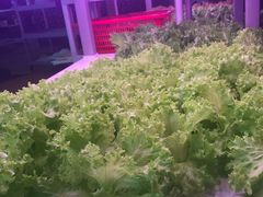 -佰园全日西餐厅-厦门佰翔软件园酒店